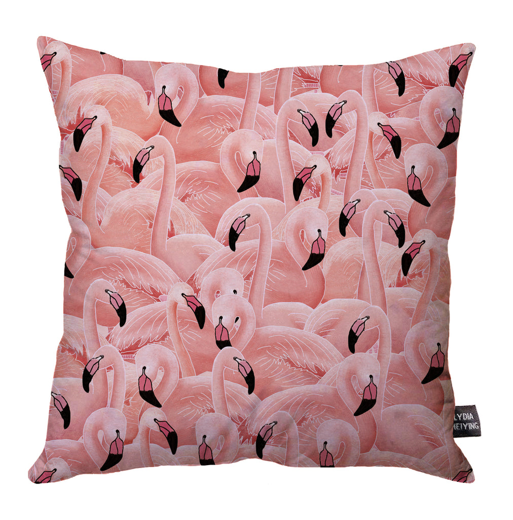 A Flamboyance of Flamingos