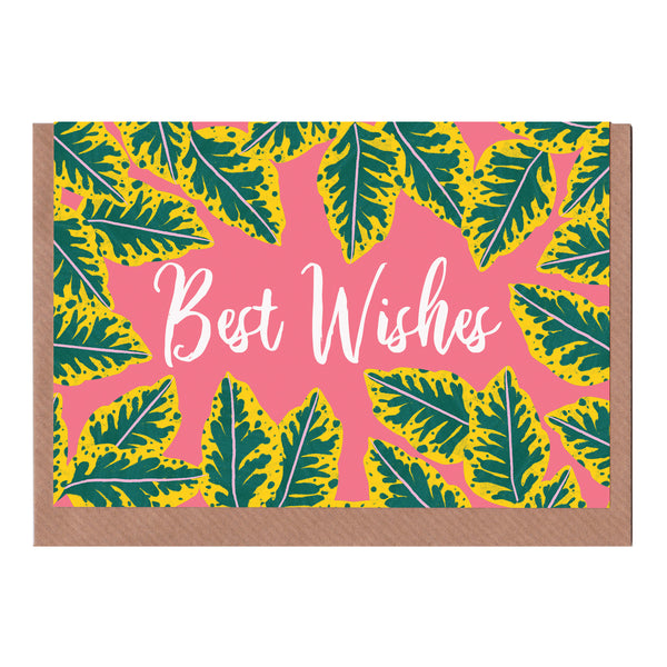 Best Wishes - Pink Calathea - Greetings Card