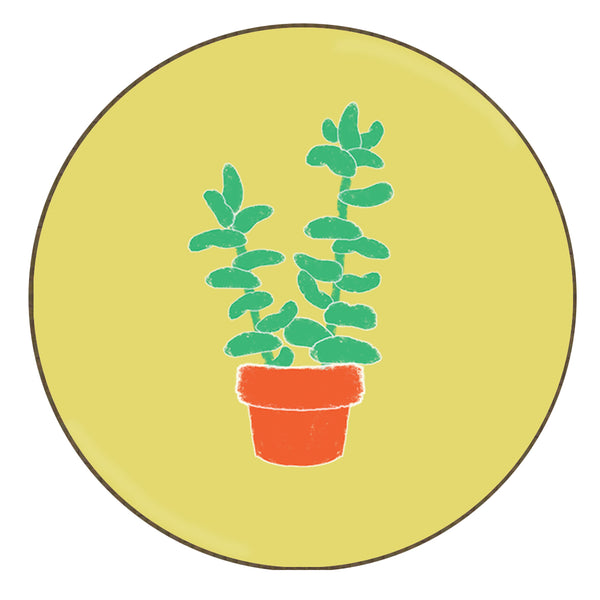 Succulent 5 - Coaster