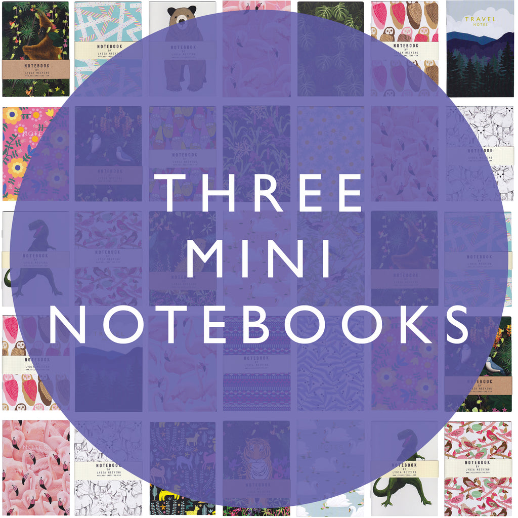 OFFER! Three Mini Notebooks