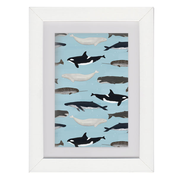 Whales - Framed Mini Print