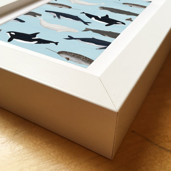 Whales - Framed Mini Print