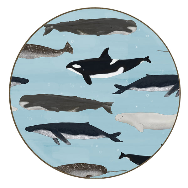 Whales - Coaster
